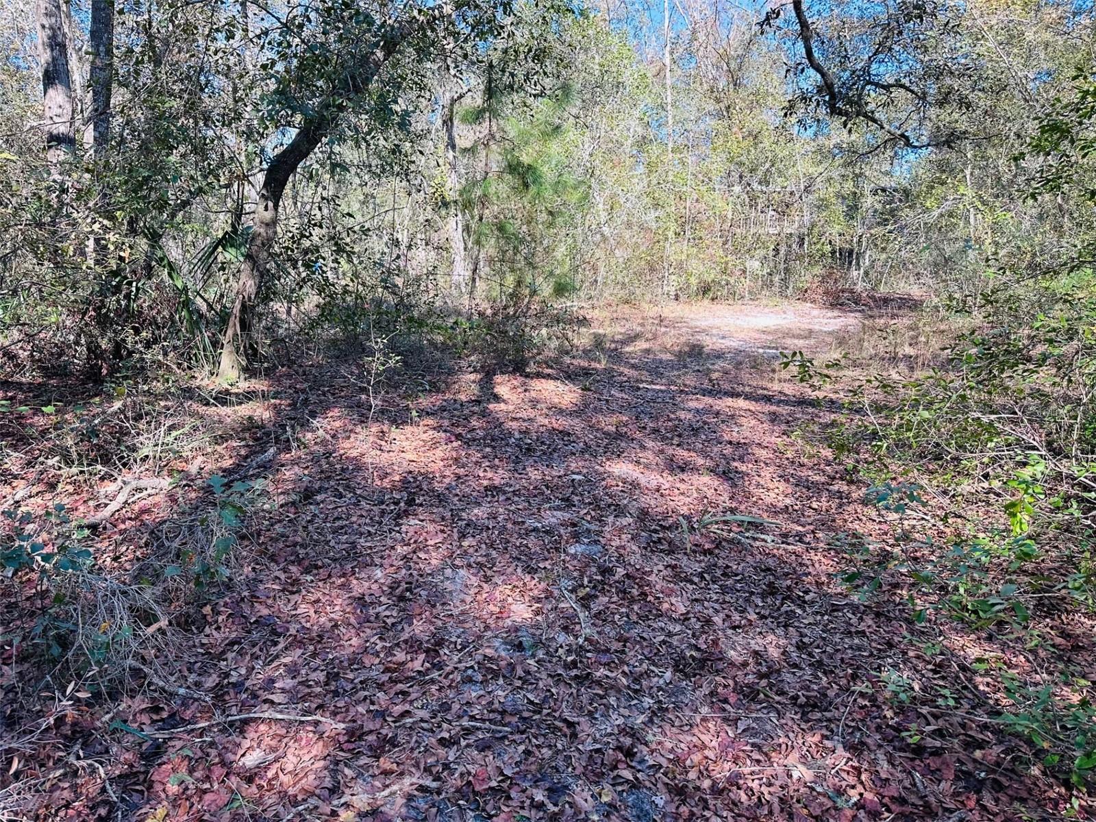0 SE 229 LN, OLD TOWN, FL, 32680
