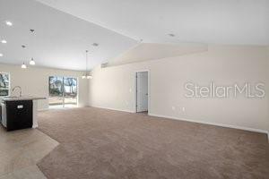 8233 N CREEK WAY, CITRUS SPRINGS, FL, 34434