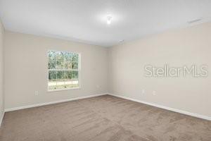 8233 N CREEK WAY, CITRUS SPRINGS, FL, 34434
