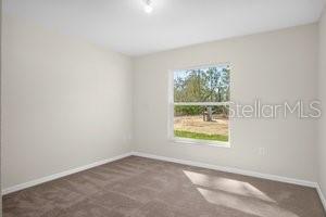 8233 N CREEK WAY, CITRUS SPRINGS, FL, 34434