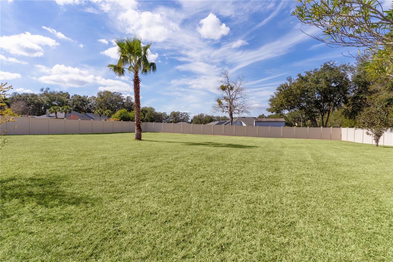 917 HAWK LNDG, FRUITLAND PARK, FL, 34731