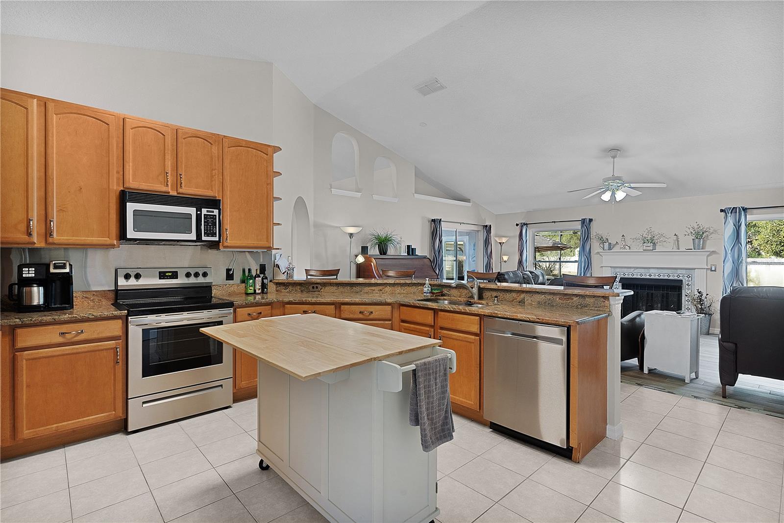 917 HAWK LNDG, FRUITLAND PARK, FL, 34731