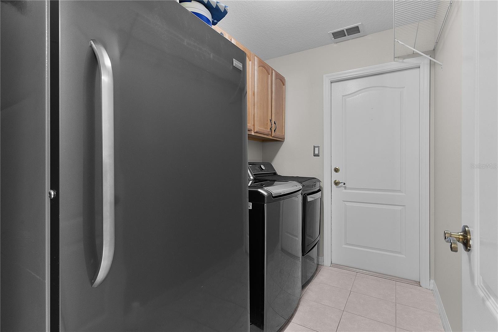 917 HAWK LNDG, FRUITLAND PARK, FL, 34731