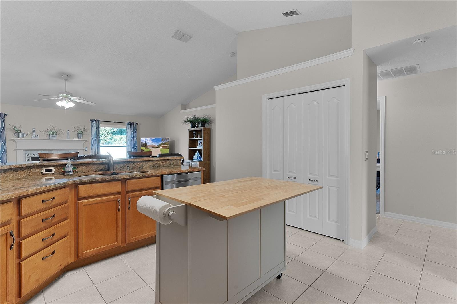 917 HAWK LNDG, FRUITLAND PARK, FL, 34731