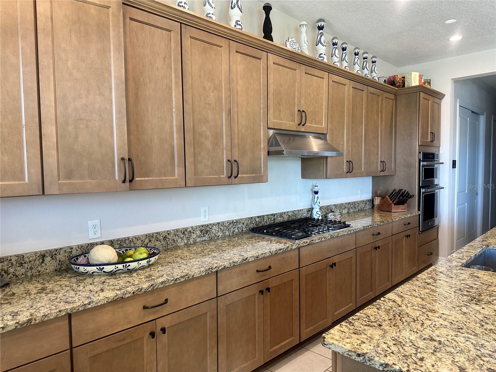 15511 SHOREBIRD LN, WINTER GARDEN, FL, 34787