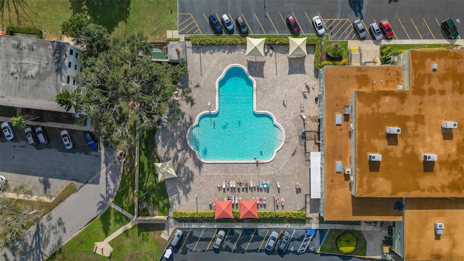 2262 SWEDISH DR #12, CLEARWATER, FL, 33763