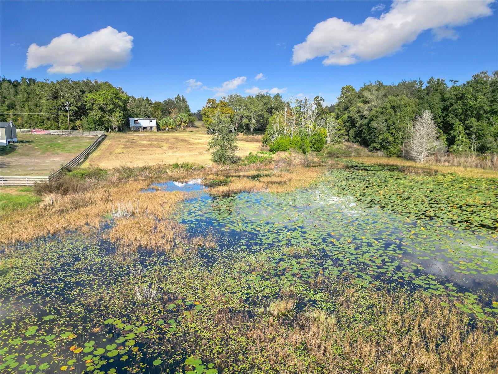 4235 DOVE VALLEY LN, LADY LAKE, FL, 32159