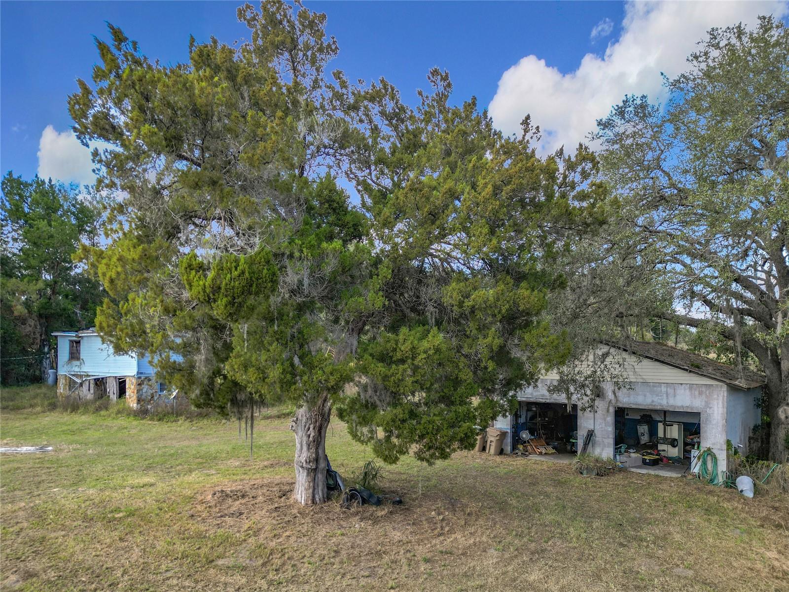 4235 DOVE VALLEY LN, LADY LAKE, FL, 32159