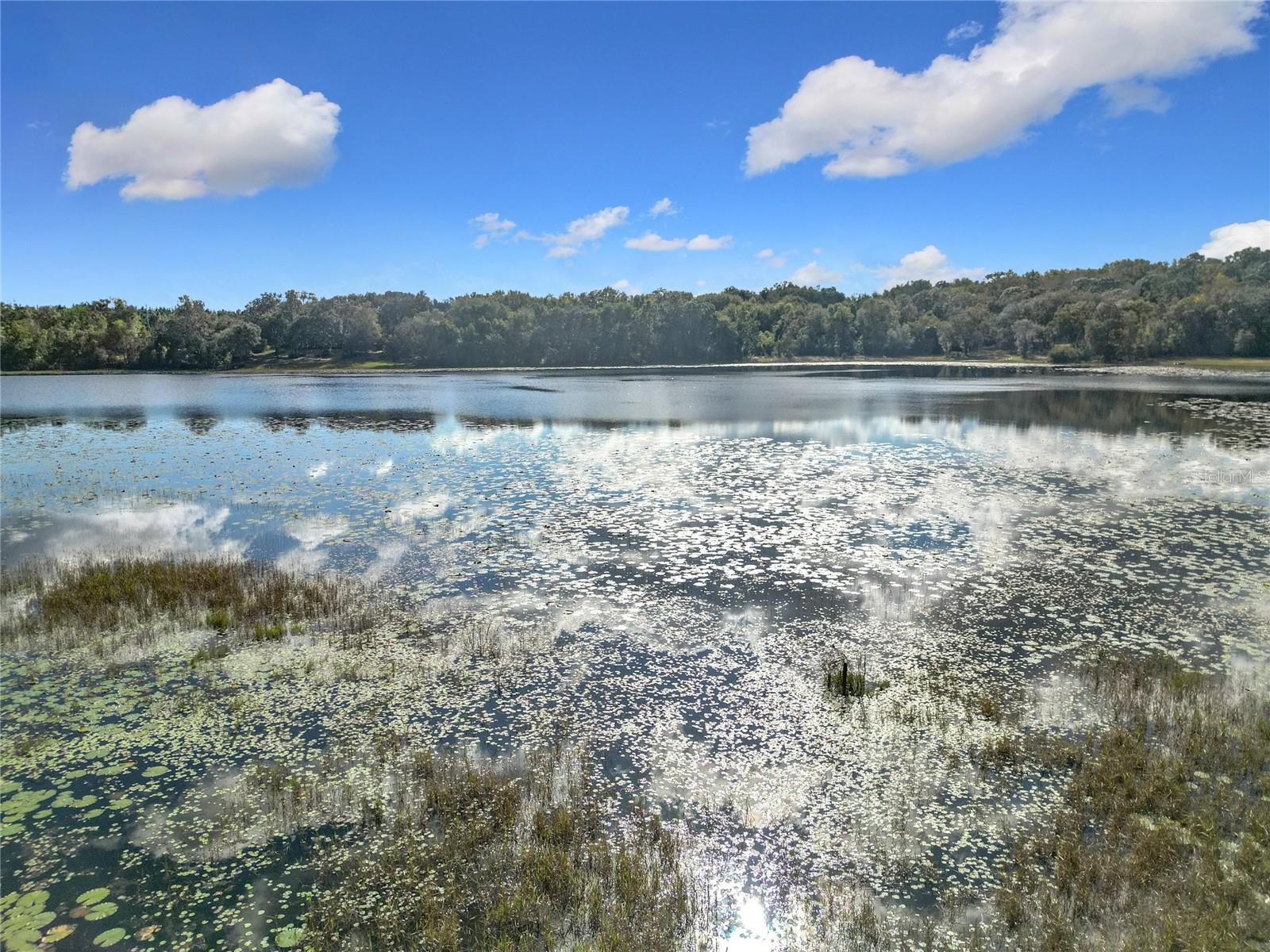 4235 DOVE VALLEY LN, LADY LAKE, FL, 32159