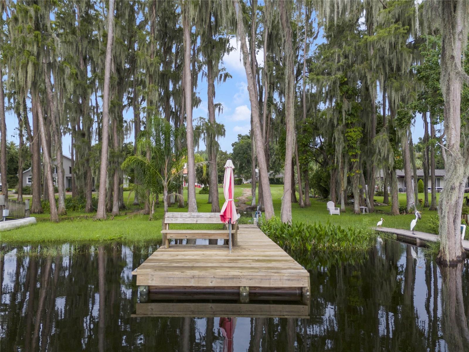 1140 KELSO BLVD, WINDERMERE, FL, 34786