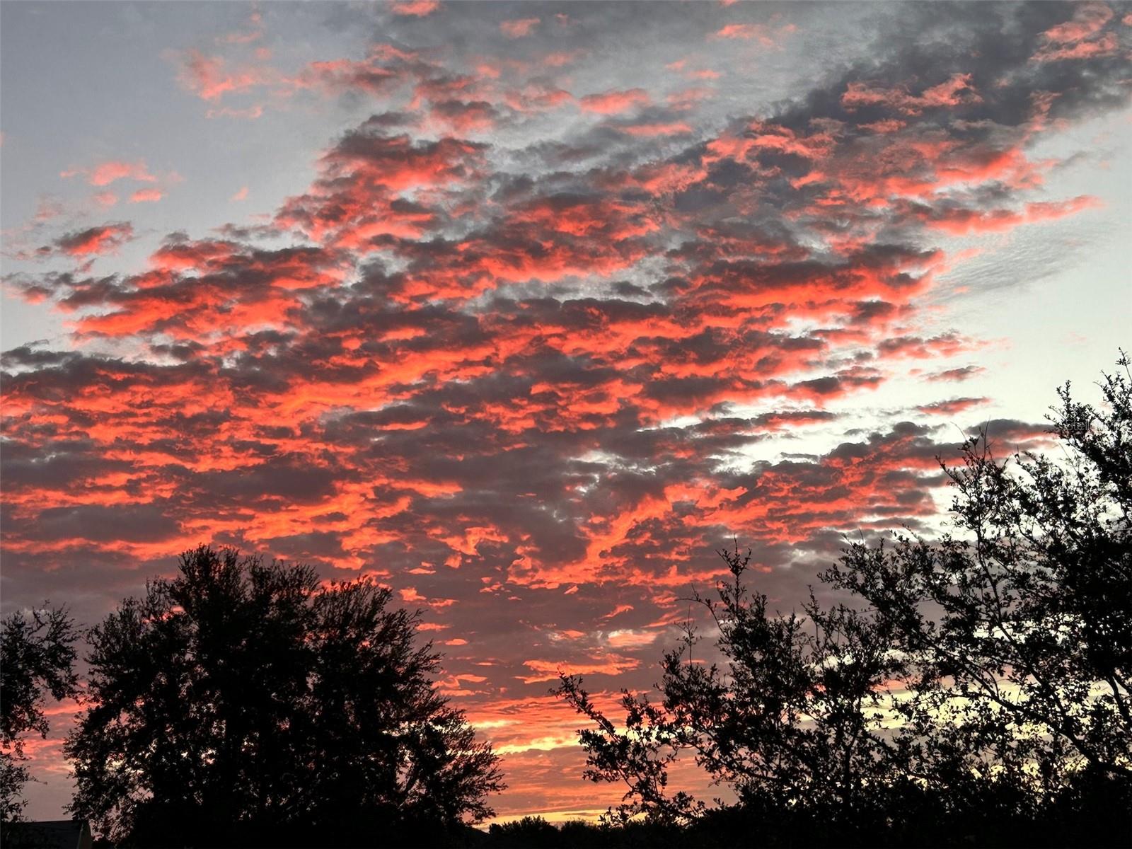 12529 HAMMOCK POINTE CIR, CLERMONT, FL, 34711