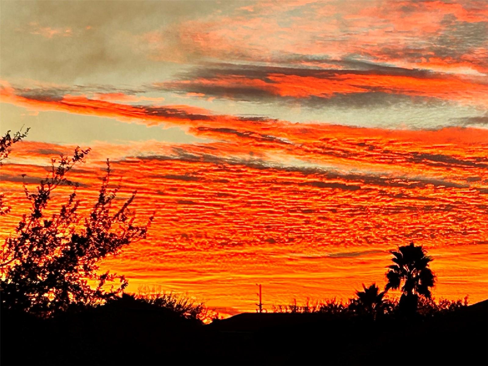 12529 HAMMOCK POINTE CIR, CLERMONT, FL, 34711