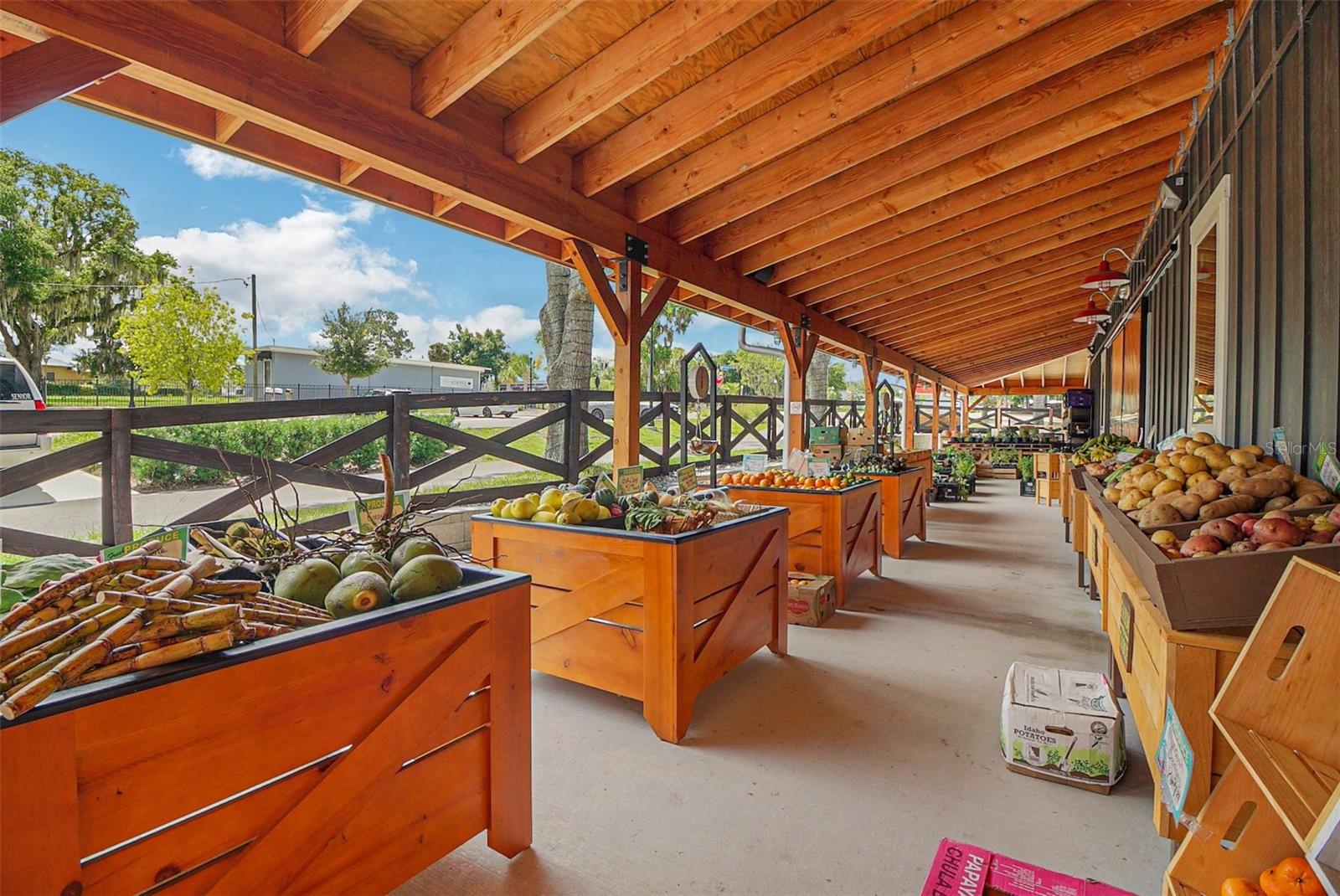 12529 HAMMOCK POINTE CIR, CLERMONT, FL, 34711