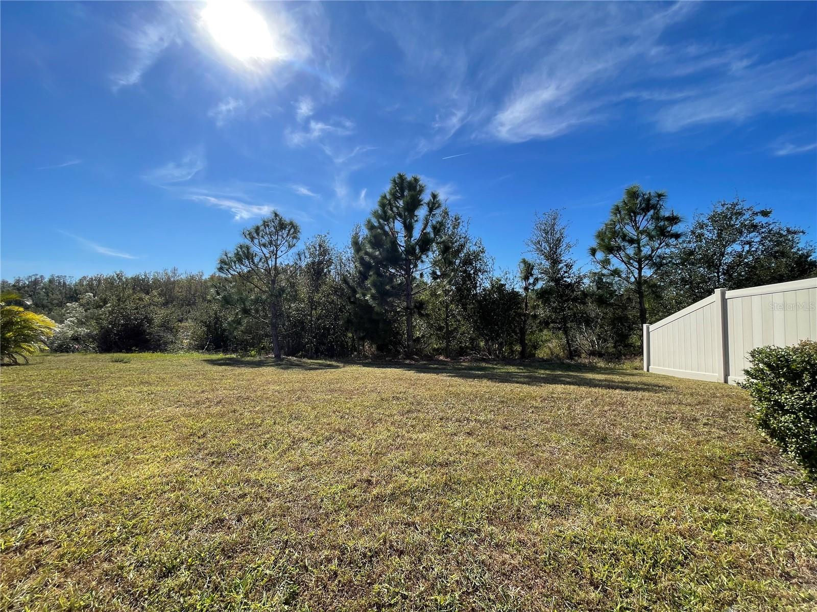 4238 UNBRIDLED SONG DR, SUN CITY CENTER, FL, 33573