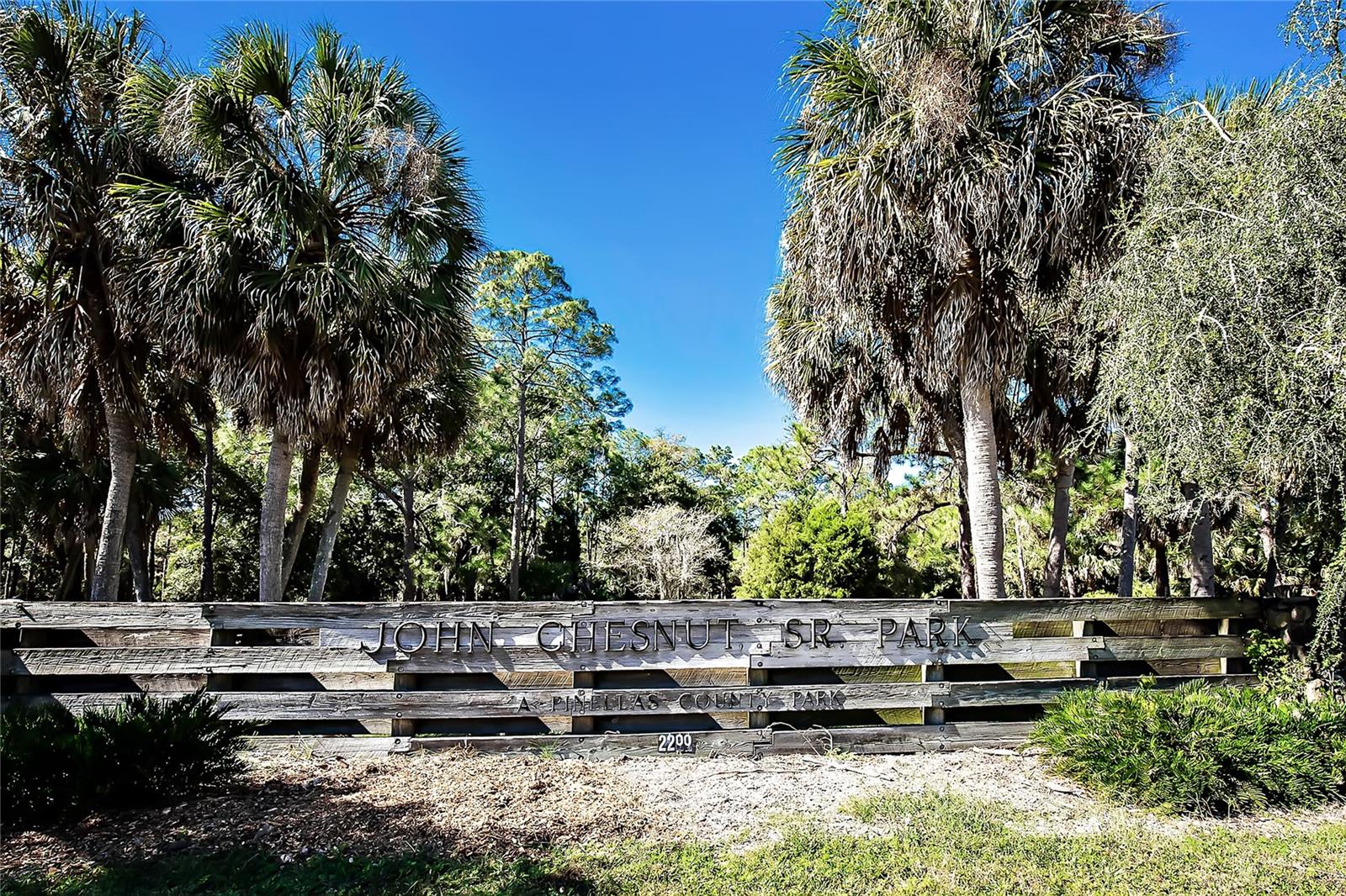 1749 ARABIAN LN, PALM HARBOR, FL, 34685