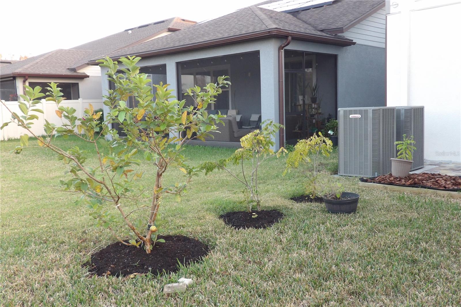 10844 ROLLING MOSS RD, TAMPA, FL, 33647