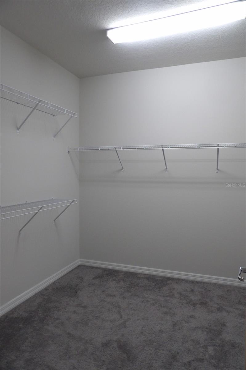 10844 ROLLING MOSS RD, TAMPA, FL, 33647