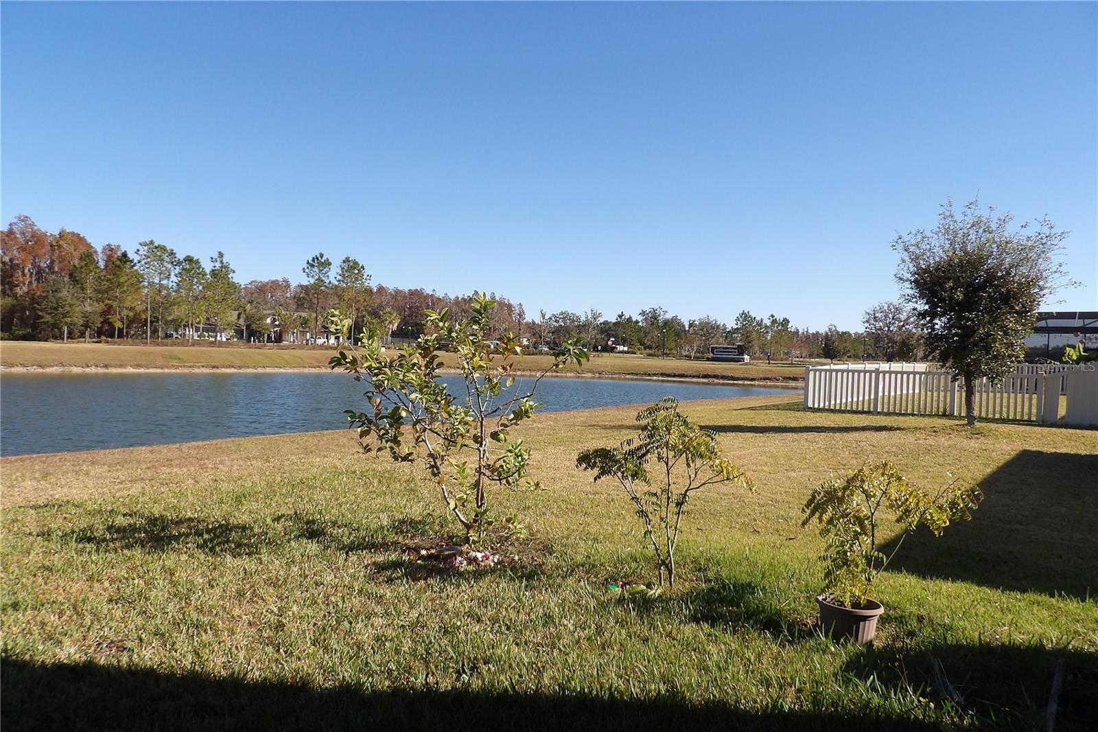 10844 ROLLING MOSS RD, TAMPA, FL, 33647