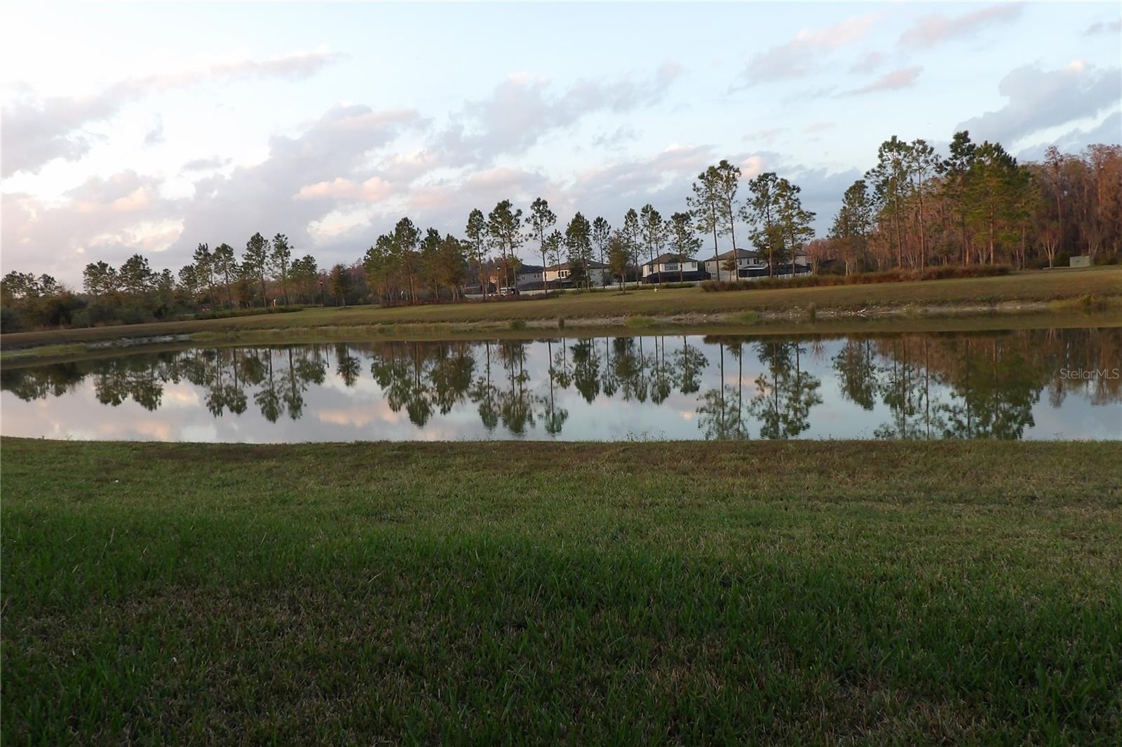 10844 ROLLING MOSS RD, TAMPA, FL, 33647