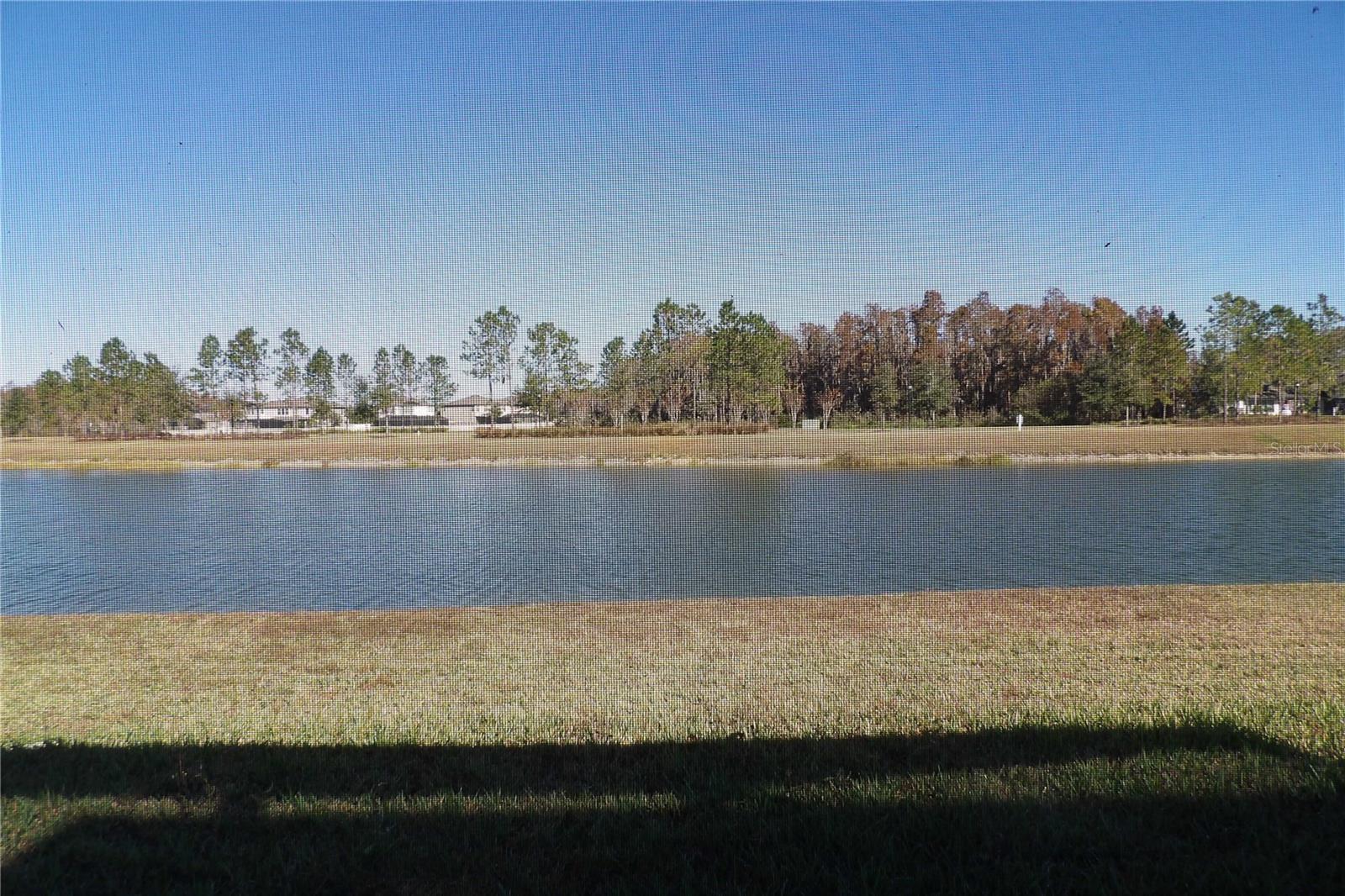 10844 ROLLING MOSS RD, TAMPA, FL, 33647