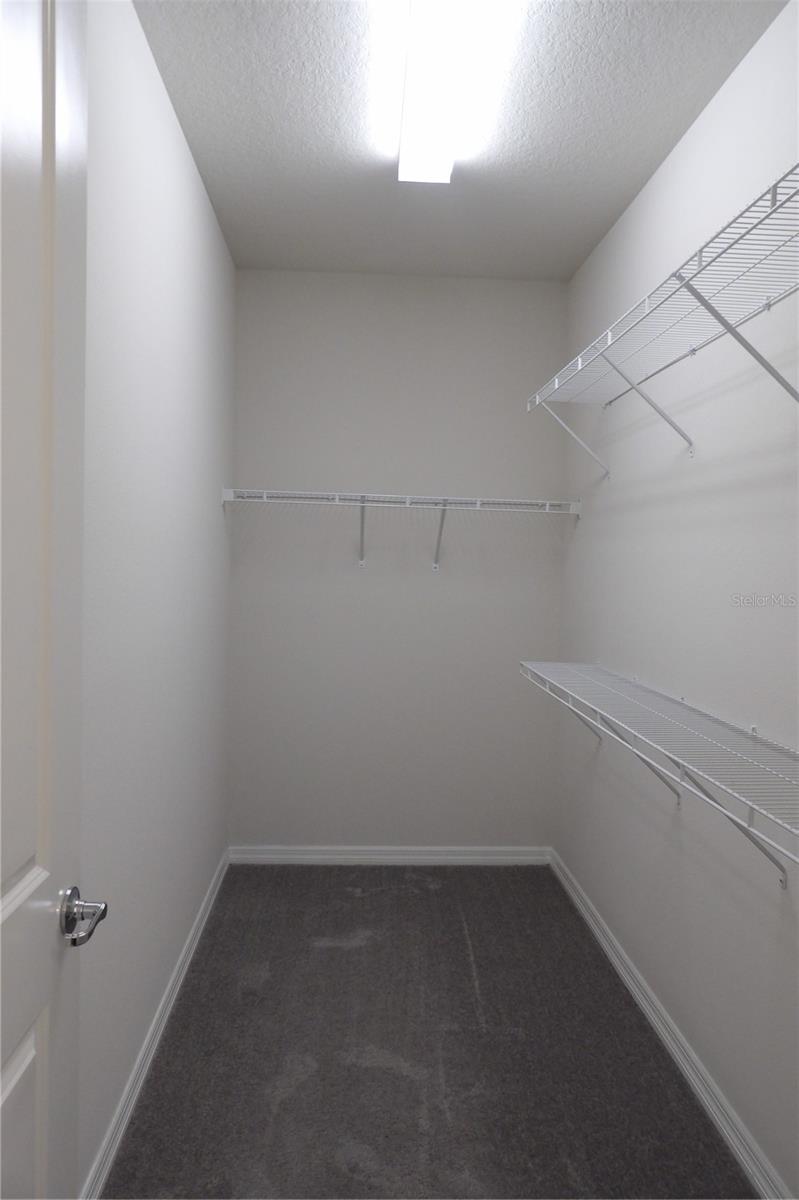 10844 ROLLING MOSS RD, TAMPA, FL, 33647