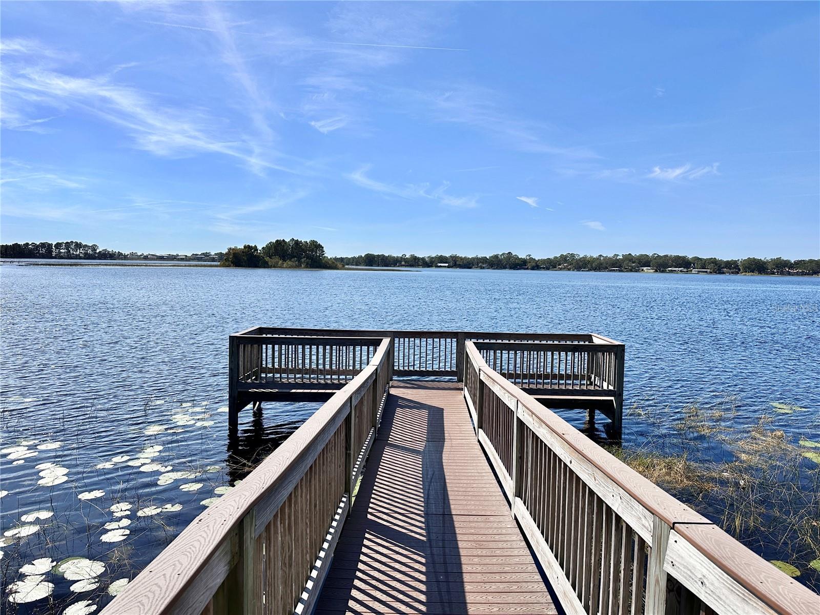 15531 WATERLEIGH COVE DR, WINTER GARDEN, FL, 34787