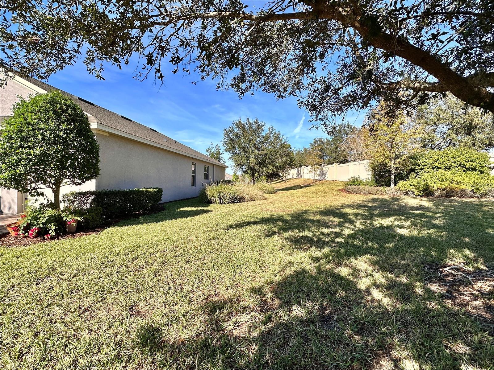 15531 WATERLEIGH COVE DR, WINTER GARDEN, FL, 34787