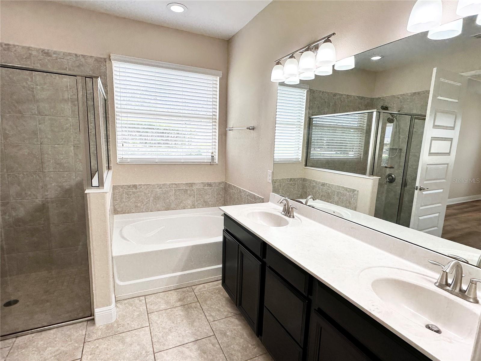 15531 WATERLEIGH COVE DR, WINTER GARDEN, FL, 34787