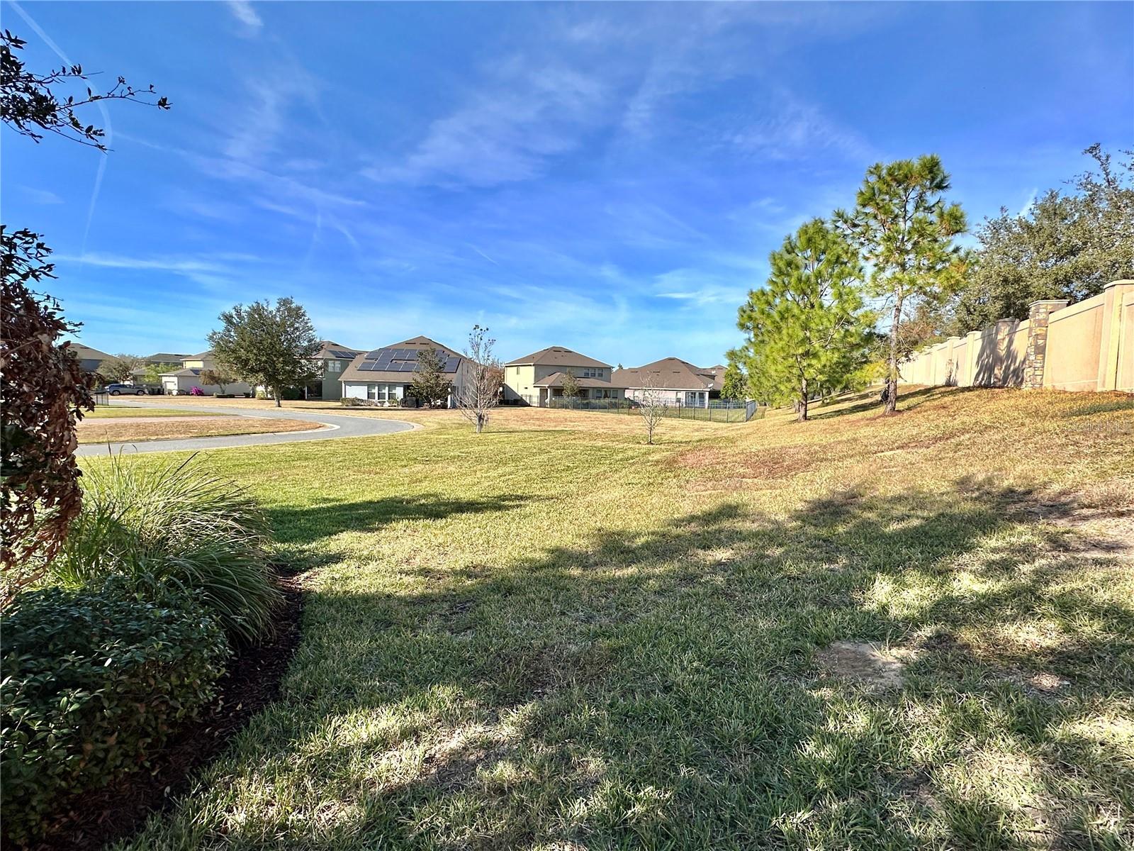 15531 WATERLEIGH COVE DR, WINTER GARDEN, FL, 34787