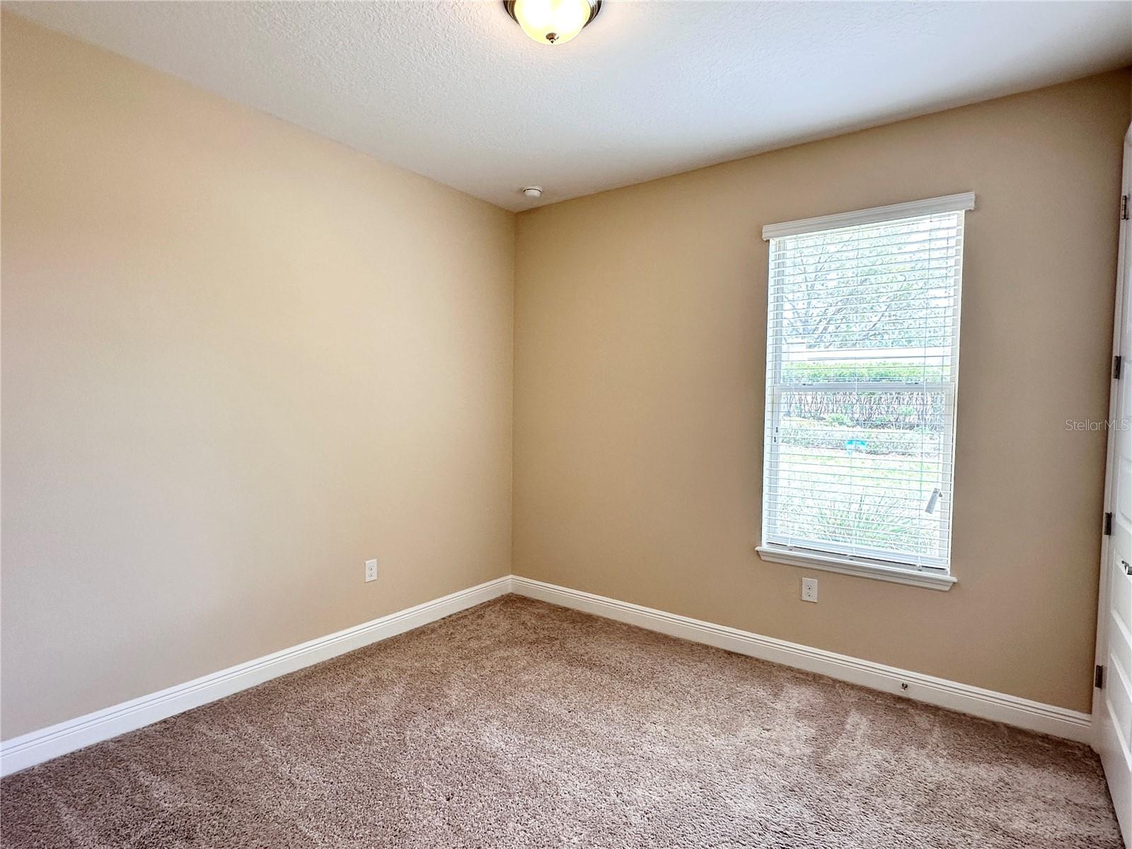 15531 WATERLEIGH COVE DR, WINTER GARDEN, FL, 34787