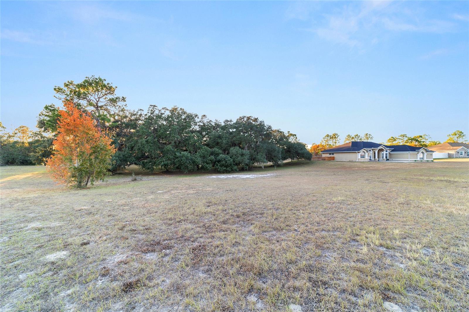 5981 NE 57TH LOOP, SILVER SPRINGS, FL, 34488