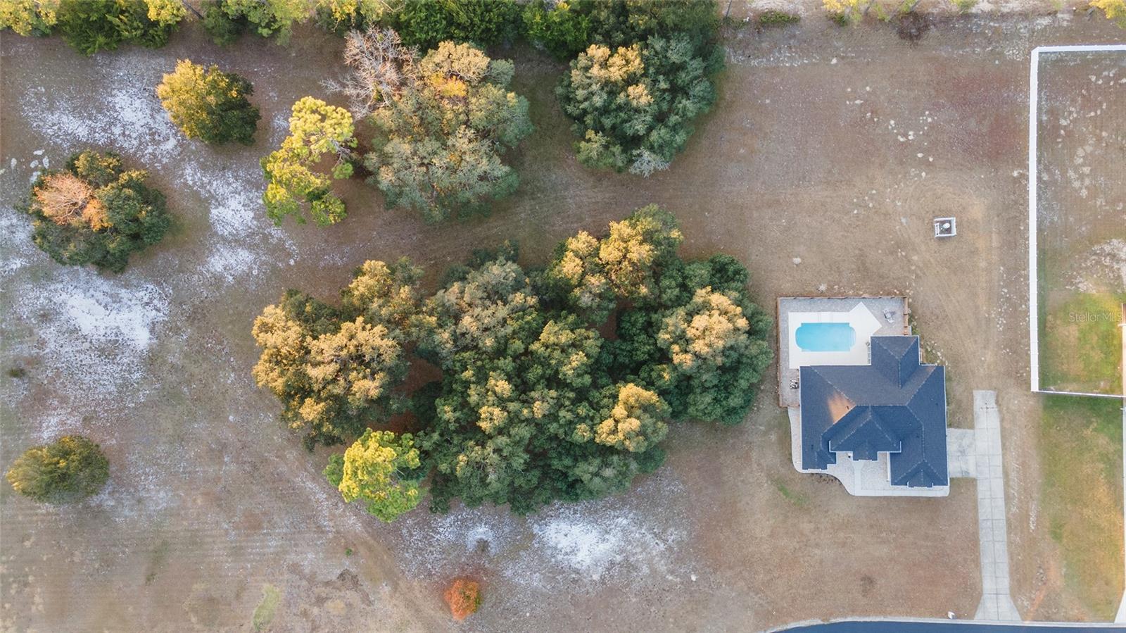 5981 NE 57TH LOOP, SILVER SPRINGS, FL, 34488