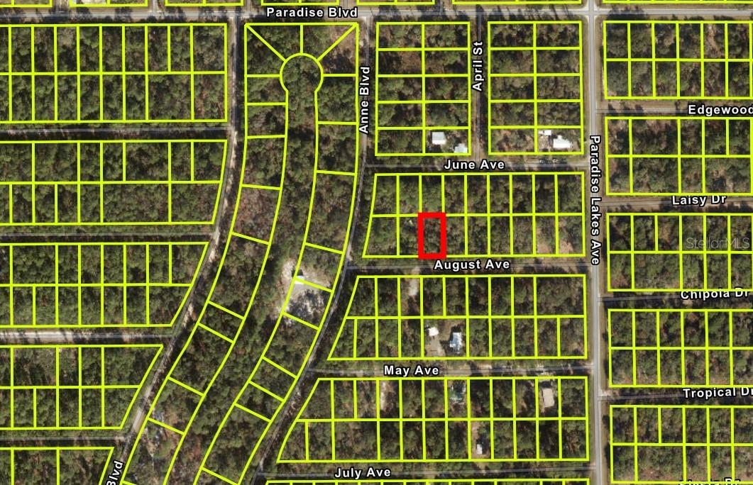 106 AUGUST AVE, GEORGETOWN, FL, 32139