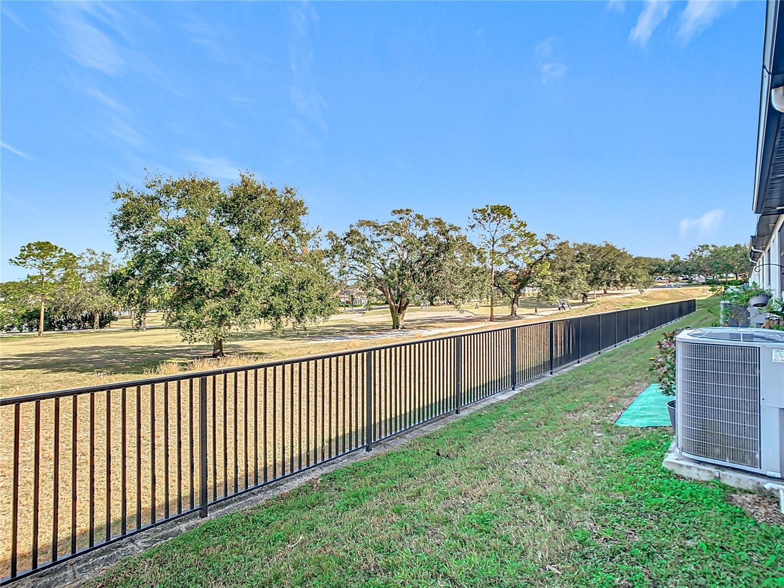 8512 MAGNIFICENT LN, GROVELAND, FL, 34736