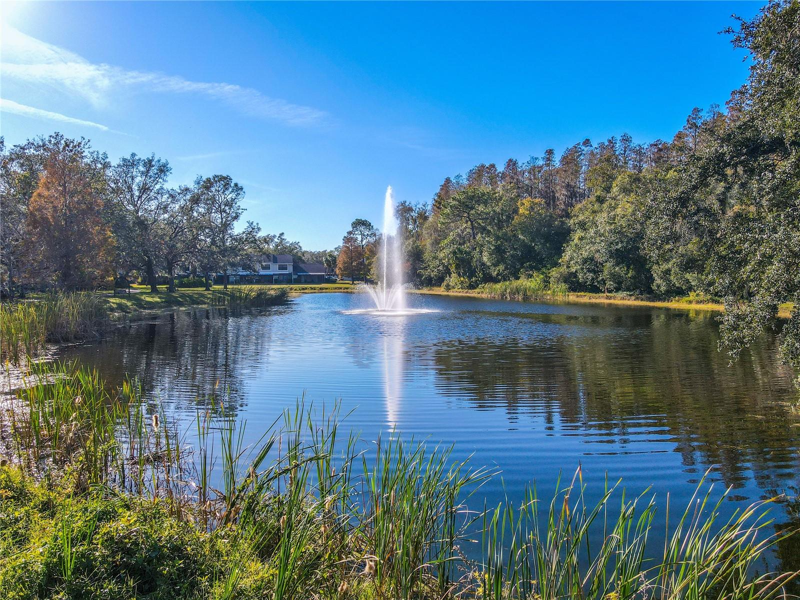 5100 BURCHETTE RD #2802, TAMPA, FL, 33647