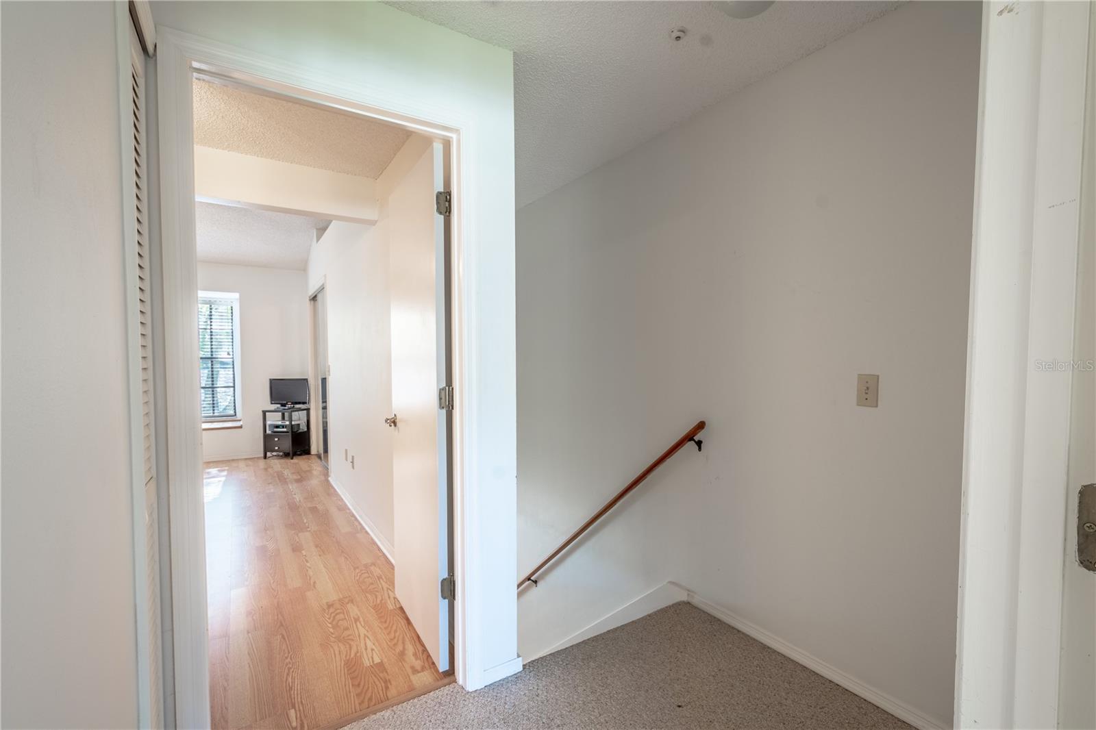 5100 BURCHETTE RD #2802, TAMPA, FL, 33647