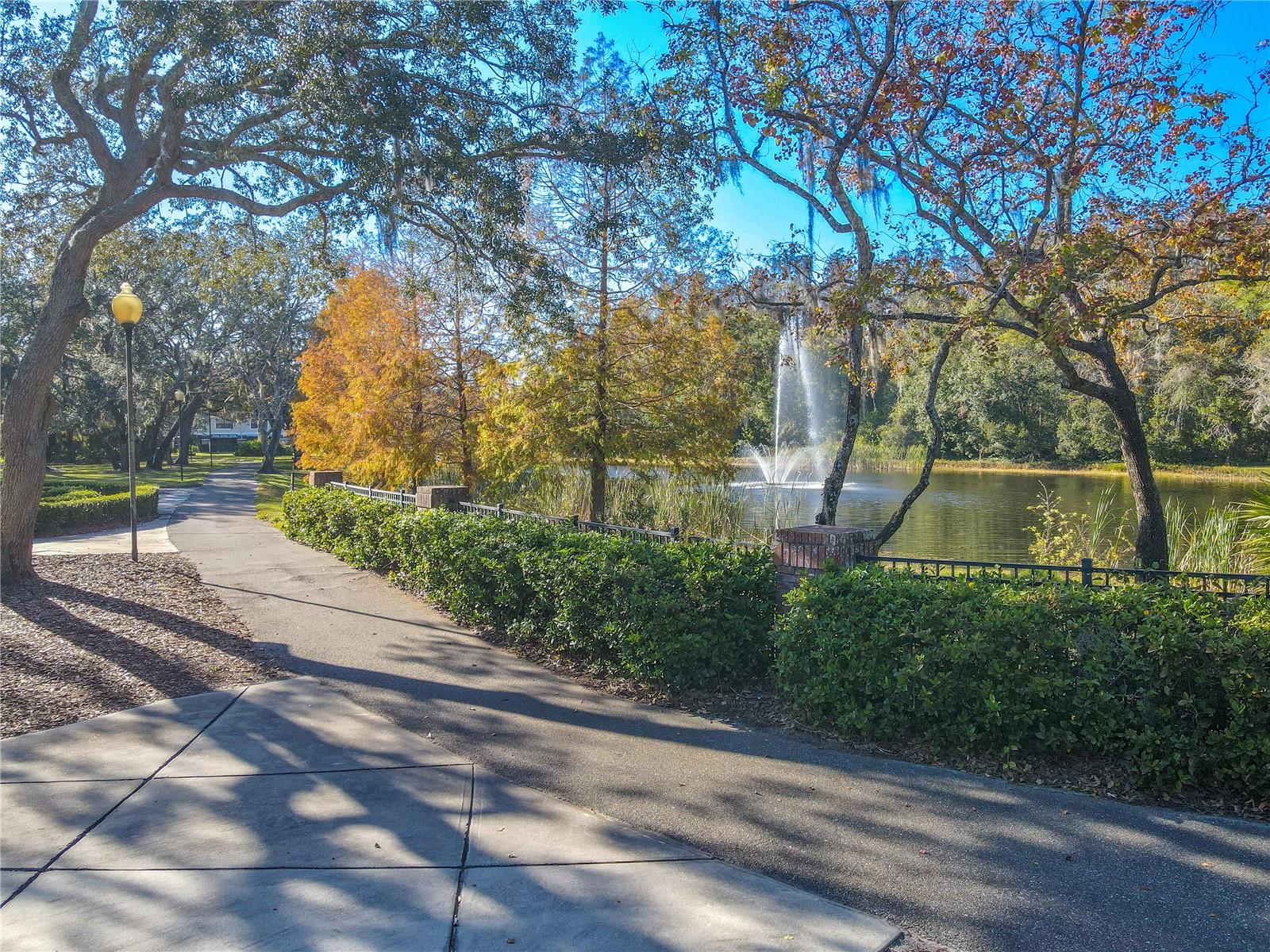 5100 BURCHETTE RD #2802, TAMPA, FL, 33647