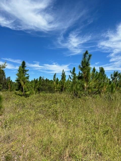 700 SE COUNTY ROAD 245, LAKE CITY, FL, 32055