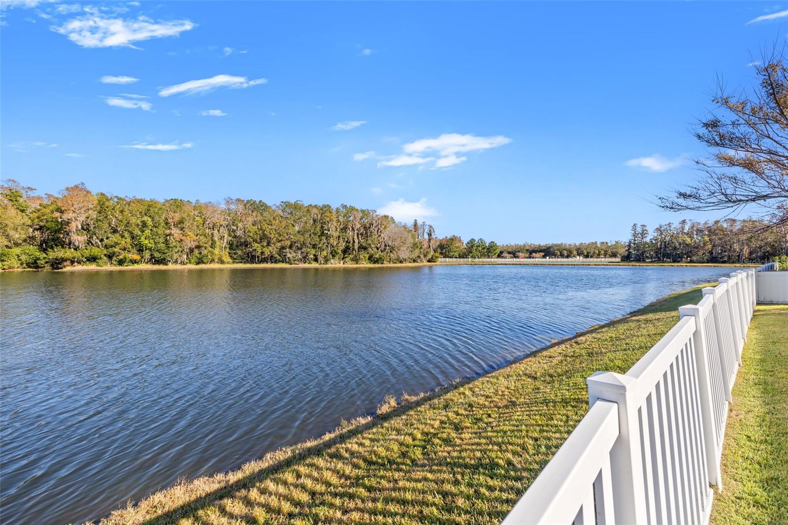 12726 MOUNTAIN SPRINGS PL, NEW PORT RICHEY, FL, 34655