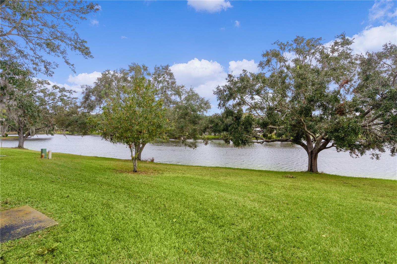 727 TURNBERRY LN, THE VILLAGES, FL, 32159
