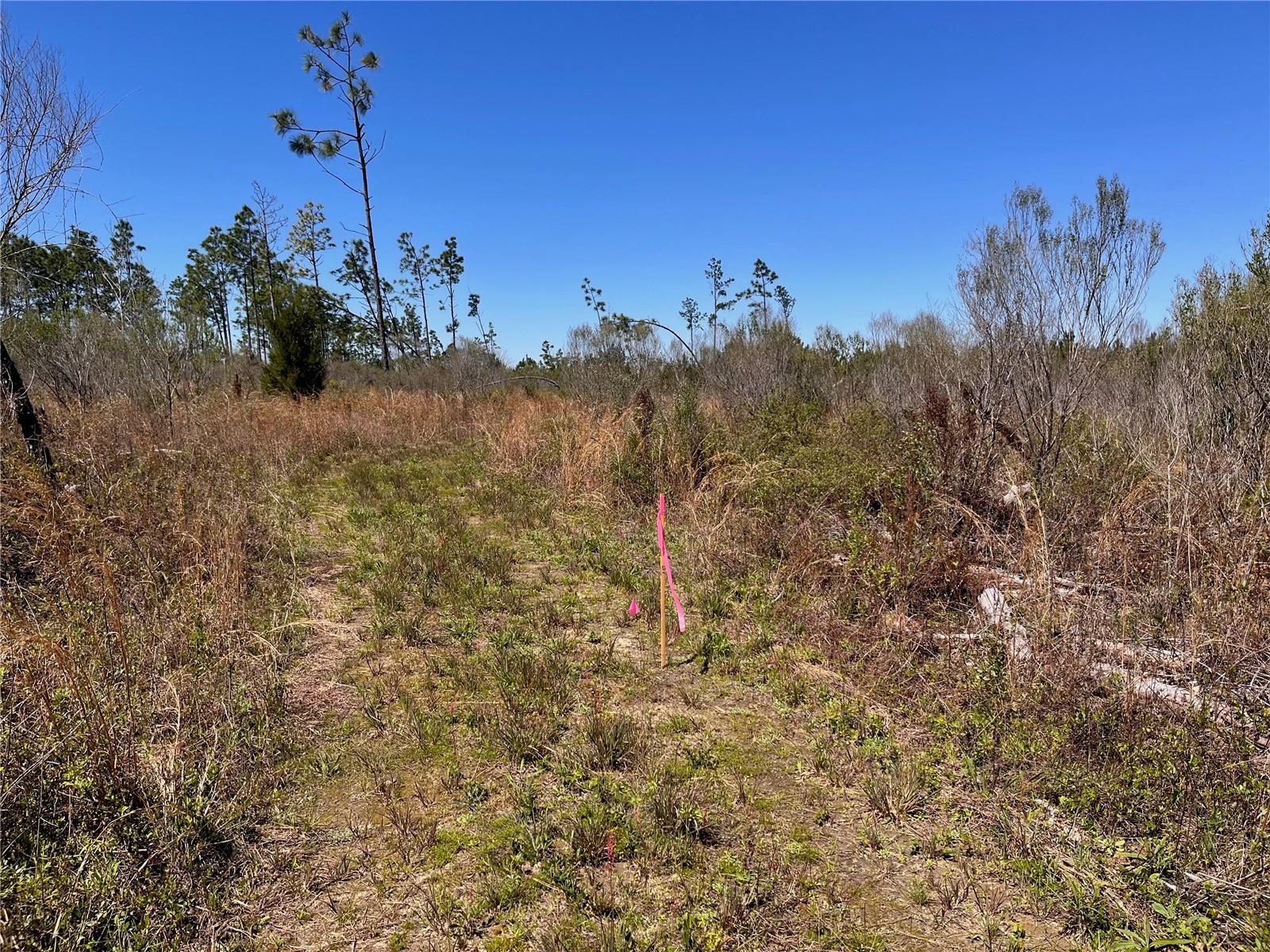 1 BETHLEHEM RD, COTTONDALE, FL, 32431