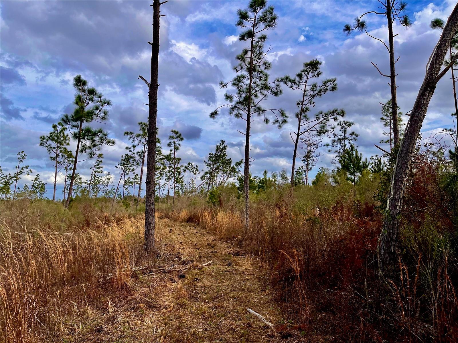 1 BETHLEHEM RD, COTTONDALE, FL, 32431