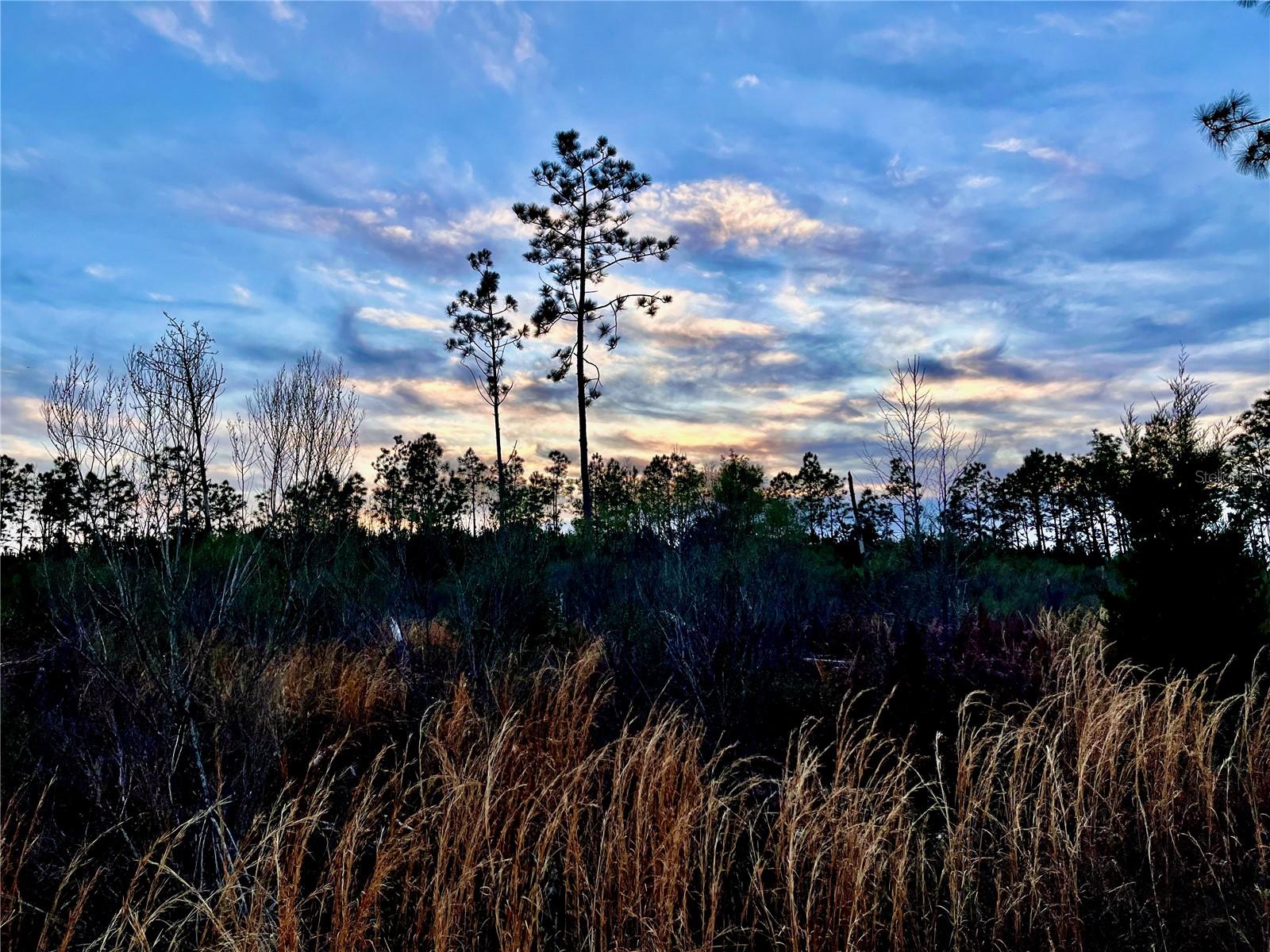 1 BETHLEHEM RD, COTTONDALE, FL, 32431