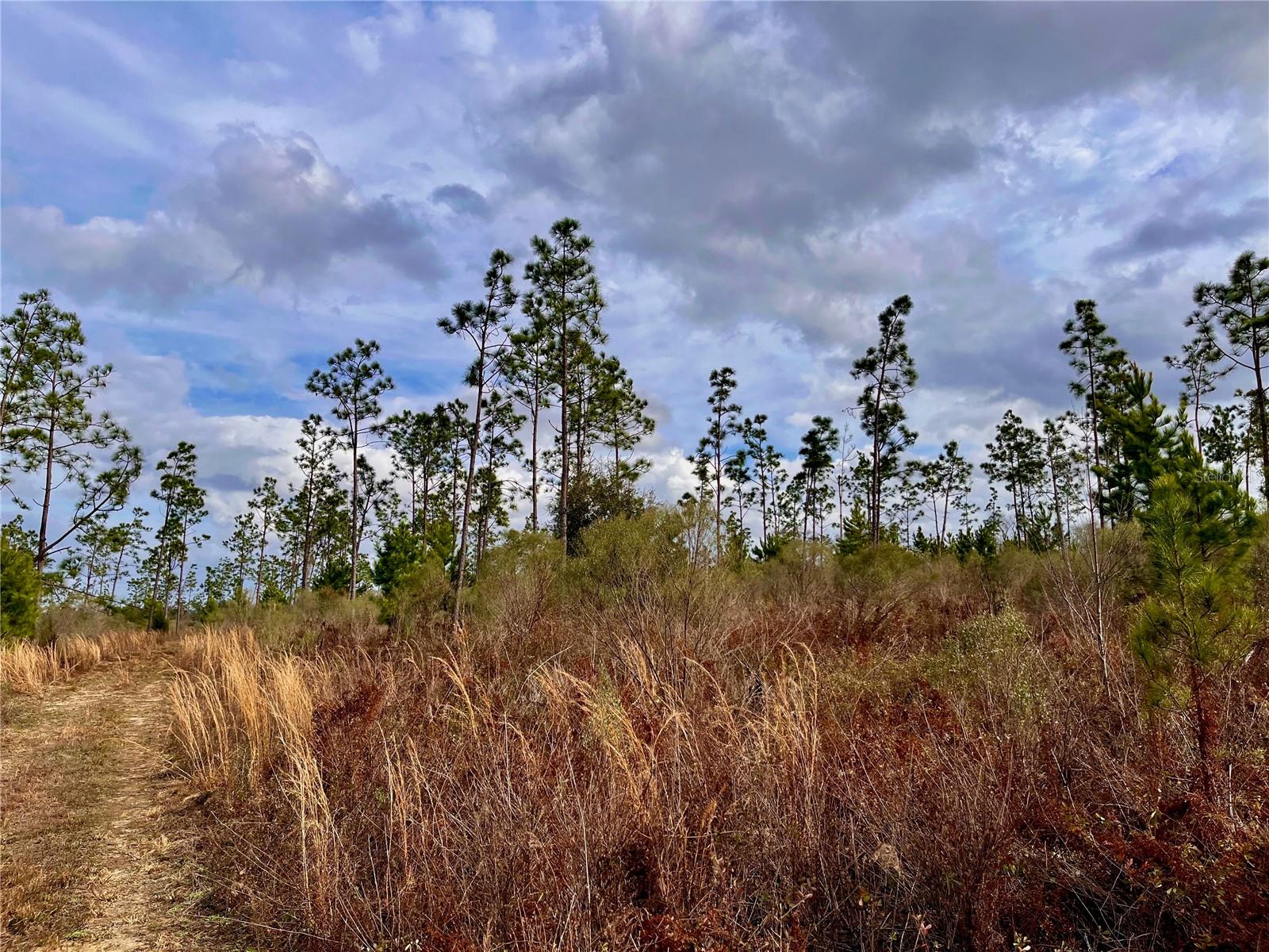 1 BETHLEHEM RD, COTTONDALE, FL, 32431