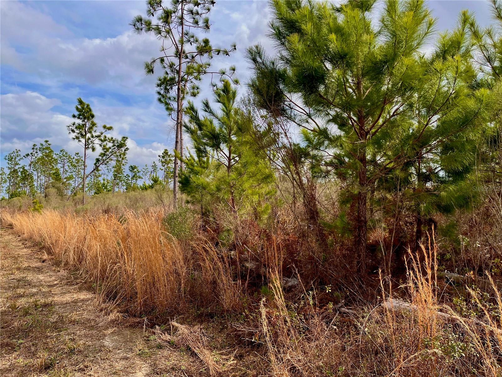 1 BETHLEHEM RD, COTTONDALE, FL, 32431