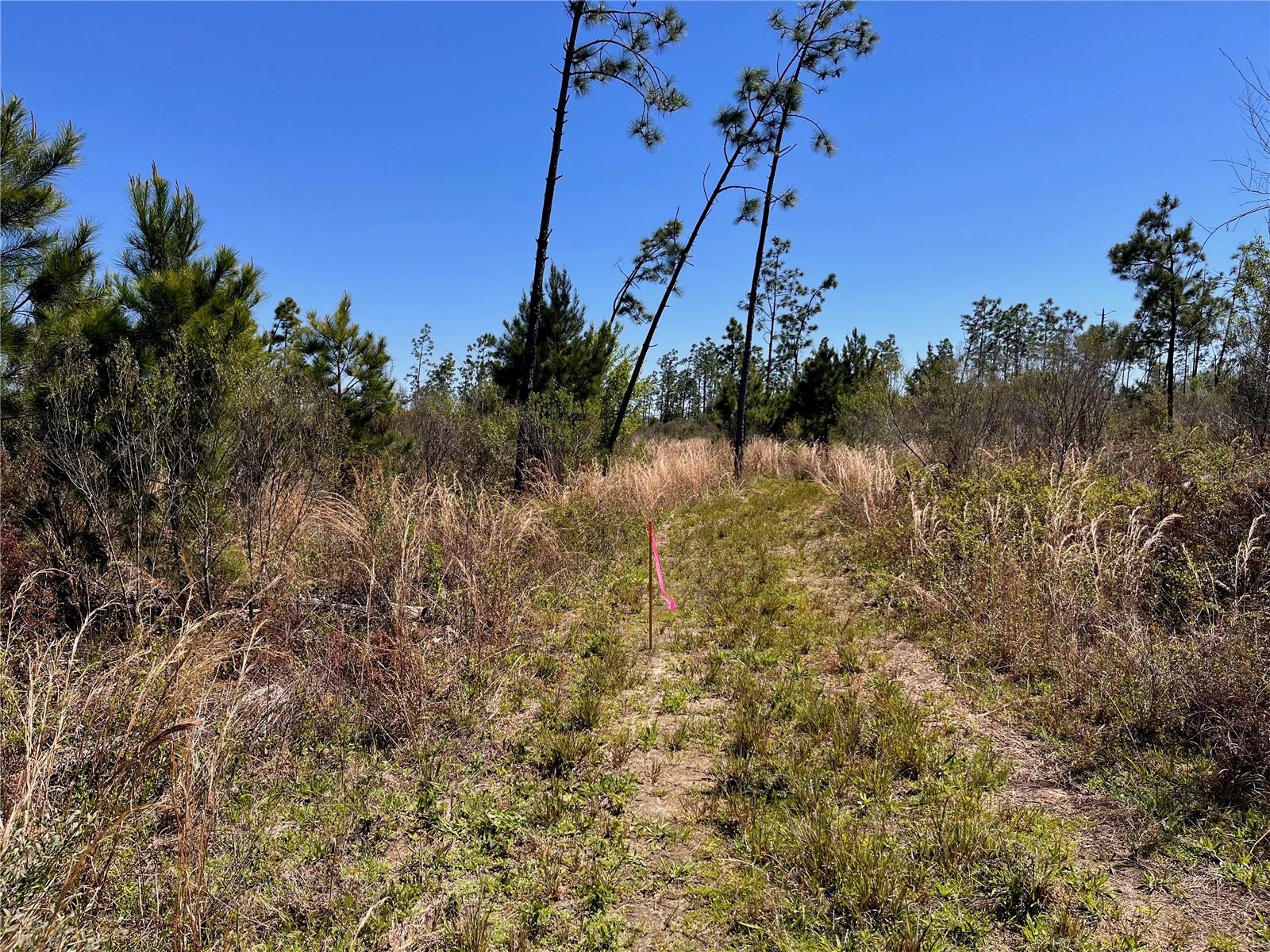 1 BETHLEHEM RD, COTTONDALE, FL, 32431