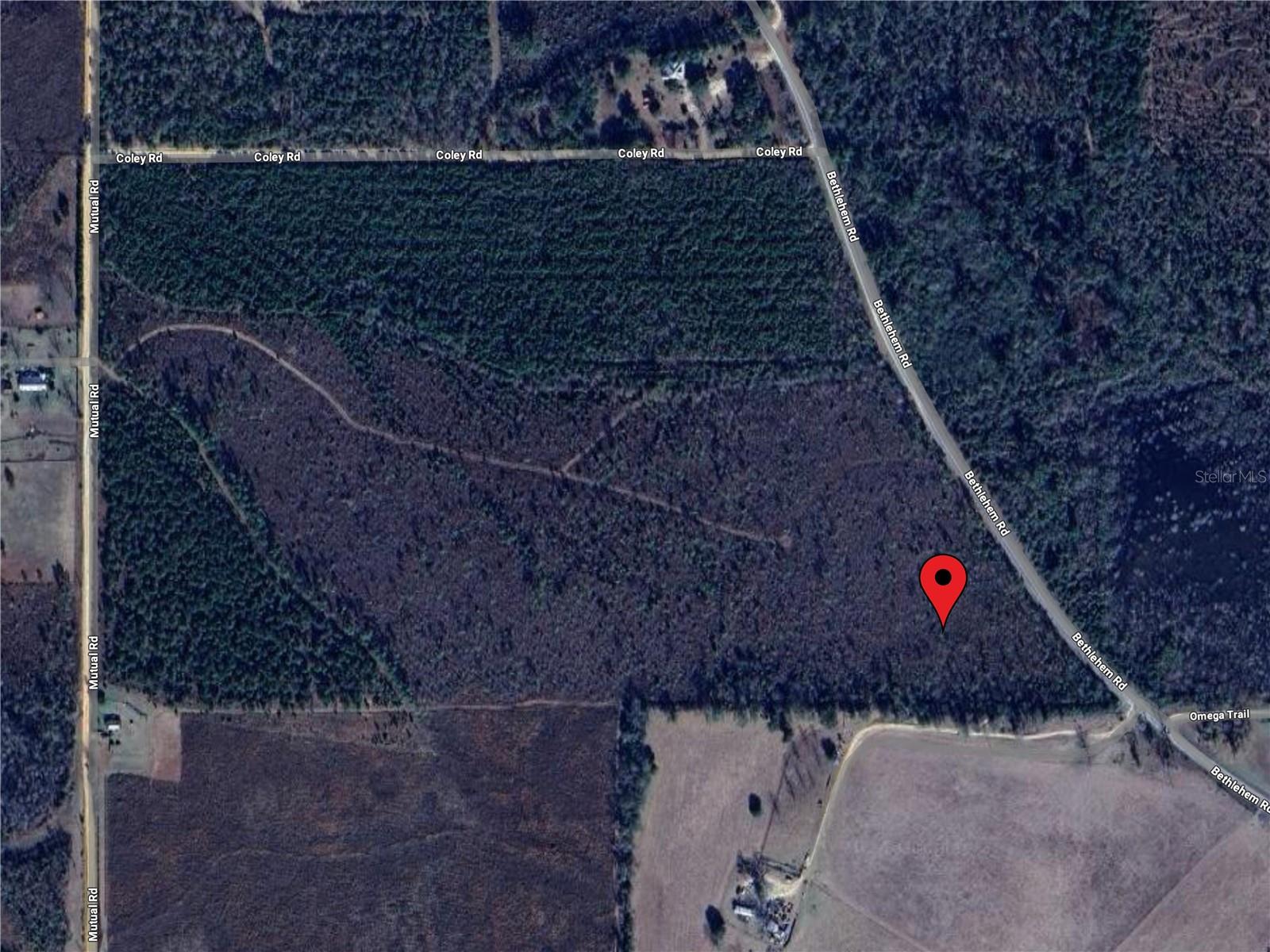 1 BETHLEHEM RD, COTTONDALE, FL, 32431