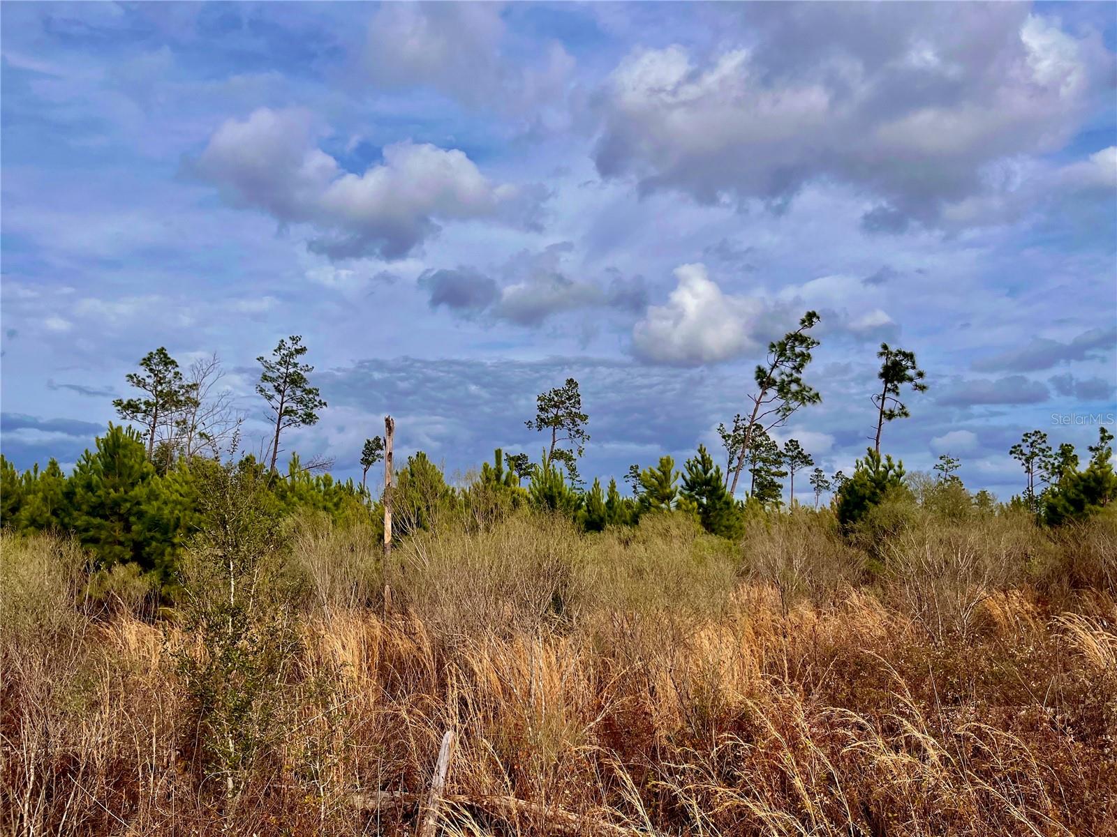 1 BETHLEHEM RD, COTTONDALE, FL, 32431