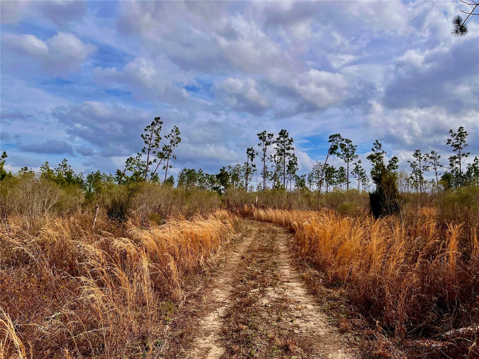 1 BETHLEHEM RD, COTTONDALE, FL, 32431