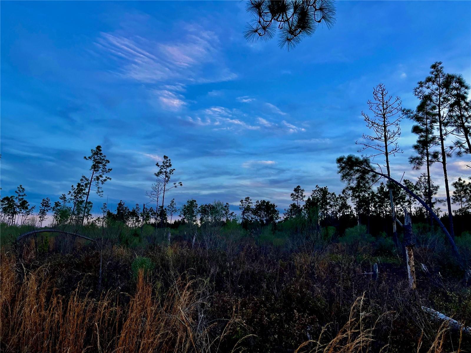 1 BETHLEHEM RD, COTTONDALE, FL, 32431